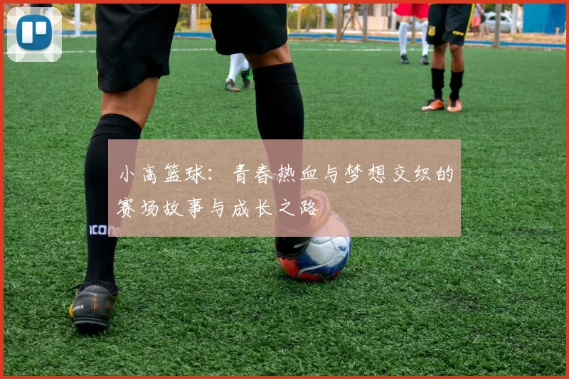 小高篮球：青春热血与梦想交织的赛场故事与成长之路